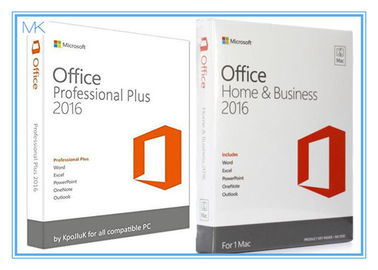 Office Professional mais a chave 2016 do produto para Windows 1 usuário/1PC com o Usb 3,0