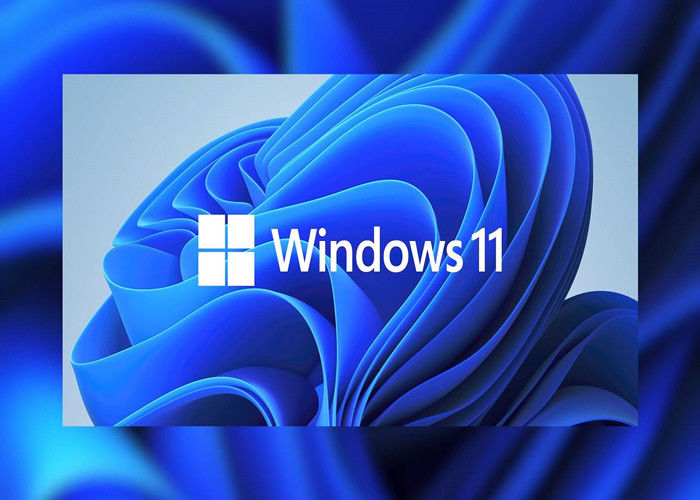 Pacote completo TPM 2,0 Microsoft Windows 11 da chave da licença do OEM DVD Windows de UEFI pro