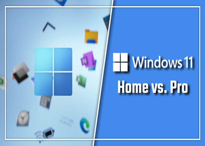 Chave profissional da ativação da casa da vitória 11 da caixa do OEM de TPM 2,0 Microsoft Windows 11 em linha
